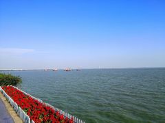 -贡湖湾湿地公园