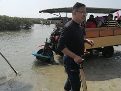-红树林天天赶海