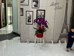 -泰康拜博口腔(世博园乐尔店)