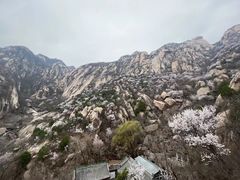 -北京凤凰岭