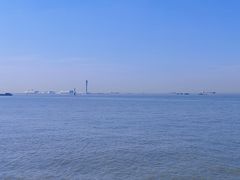 -上海滨江森林公园