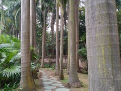 -滴水岩森林公园