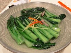 泉水浸养生时蔬-虾饺妹·酒家(海珠广场店)