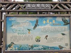-大金鹰园