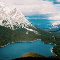 -薇兰专业脱毛连锁机构