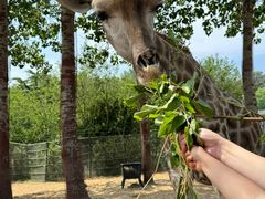 -大连森林动物园