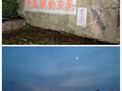 iphone_upload_pic-千岛湖品鱼馆(钓鱼岛店)