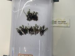 -浙江自然博物院(杭州馆)