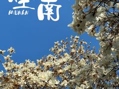 -睦南公园