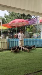 -萌宠亲子动物乐园(槐房万达店)