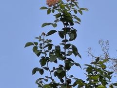 -睦南公园