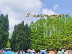 -武陵山森林公园