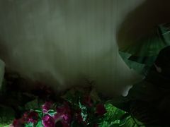 -黄金海岸水疗会所(凯利宾馆店)