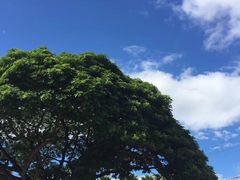 -夏威夷珍珠港