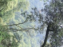 -青城山