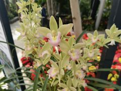 -北京植物园-展览温室