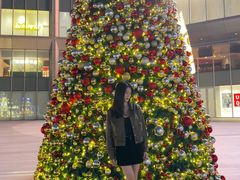 -东莞松山湖万象汇