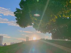 -红花山公园