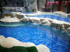 -中铁花水湾温泉酒店(大邑店)