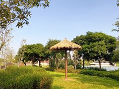 -王借岗森林公园