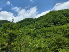 -五女峰国家森林公园