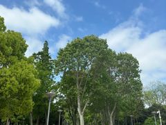 -泰州凤城河风景区-泰山公园