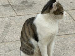 -疯狂小弟龙虾馆(南京总店)