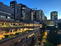 -香港大学