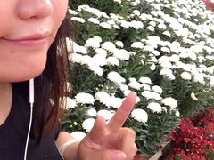 -祥源·阜阳生态乐园