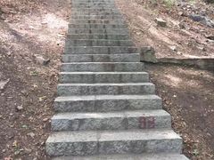 -金龙寺国家森林公园