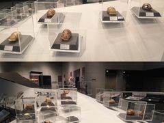 -北京周口店北京人遗址博物馆