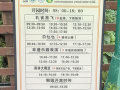 -西双版纳原始森林公园