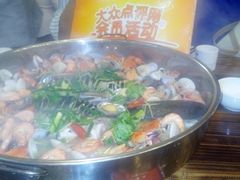 -鸭嘴鱼