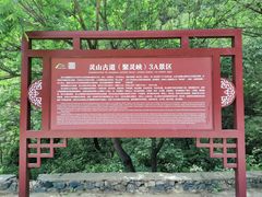 -灵山