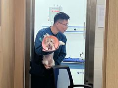 -瑞派名望志远动物医院·猫科·內科·异宠专科(直港大道店)