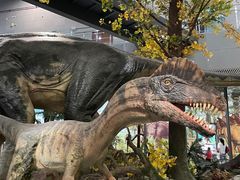 -湖南省地质博物馆