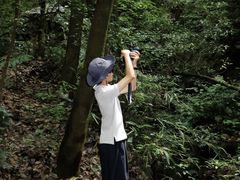 -昆明青龙峡风景区