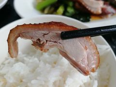 -乌文新澄海卤鹅店