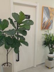 -海涛医疗美容·面部抗衰·注射美鼻