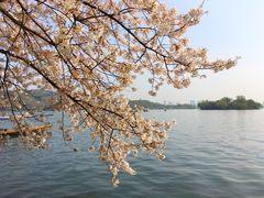 -苏堤停车场