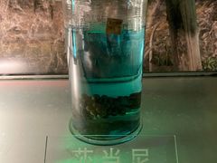 -青岛葡萄酒博物馆