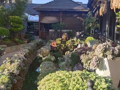 -山菌美食苑(振兴路店)