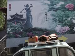 -盛世牡丹苑生态文化旅游区