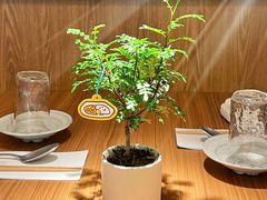 -CURRY YA 熟成咖哩專門店(深圳湾万象城店)