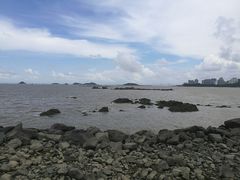 -野狸岛