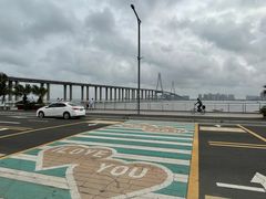 -中澳友谊花园