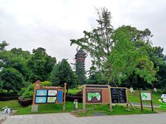 -塔子山公园