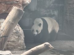 -石家庄市动物园