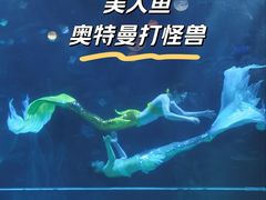 -邯郸海洋世界