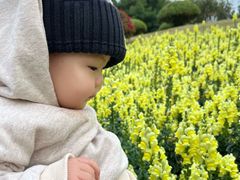 -五通灯塔公园